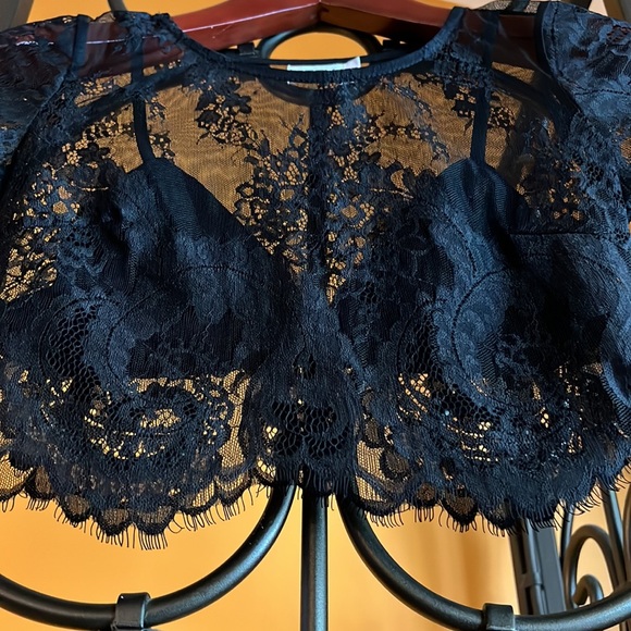 SEEK Black Lace Crop Top - Picture 3 of 8